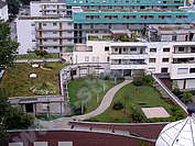 Озеленени покриви-градини